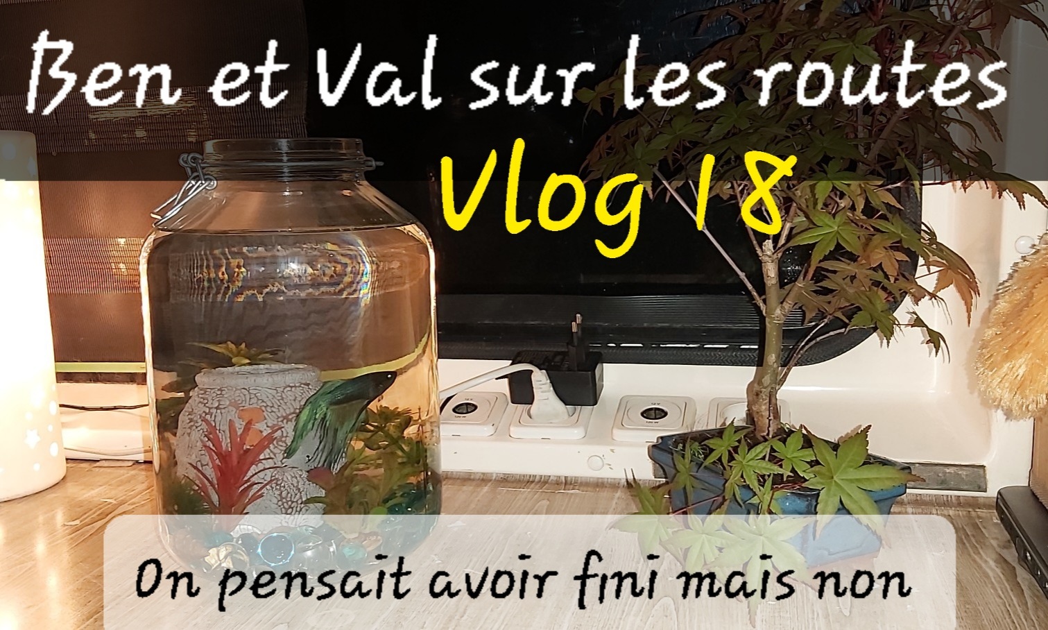 Image miniature de la vidéo