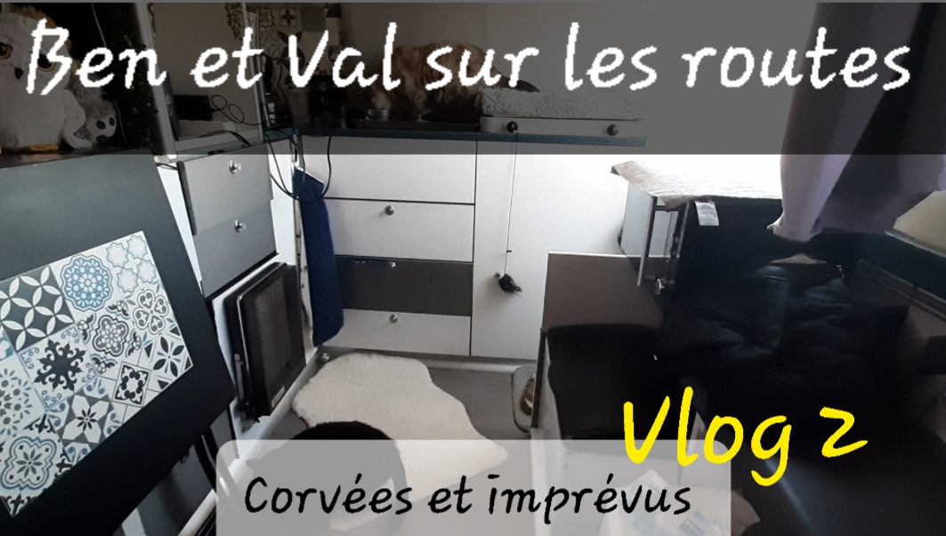 Image miniature de la vidéo